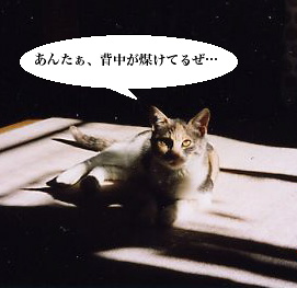 �e���̈ɖ���