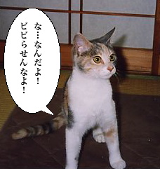 �r�r��̈ɖ���