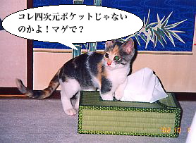 ���Ⴂ�ɖ���